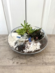 Hollow Terrarium from Aladdin's Floral in Idaho Falls